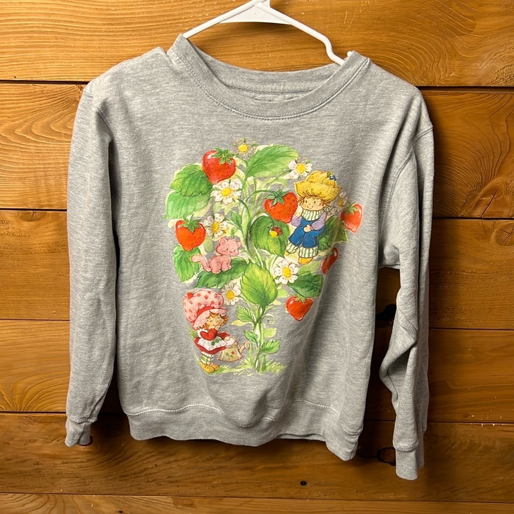 Strawberry Shortcake and Friends Women’s Pullover Sweatshirt small Gray retro